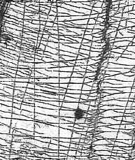 Aerial photograph of fractured limestone