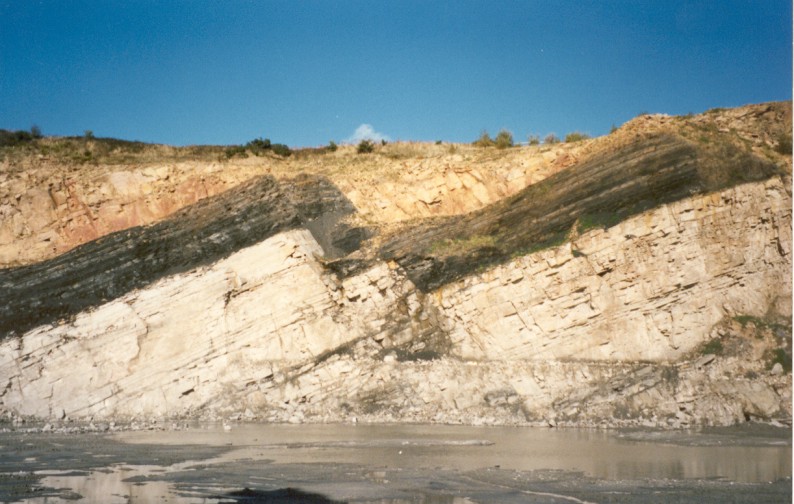 Geological society faults.